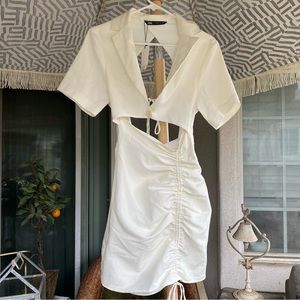 NWT Zara Dress